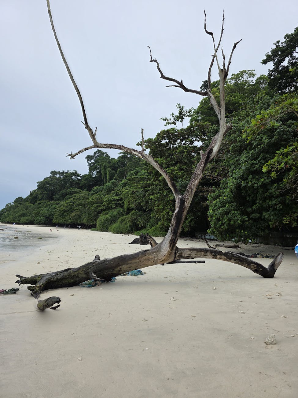 Kaip suplanuoti pirmąją savarankišką kelionę į egzotišką šalį: praktinis vadovas nuo bilietų pirkimo iki saugaus grįžimo